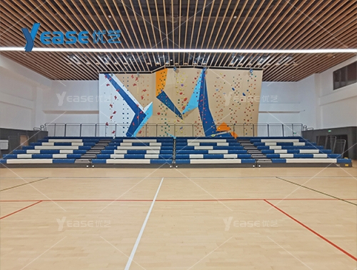 廣東省廣州市番禺博萃德學(xué)校體育館